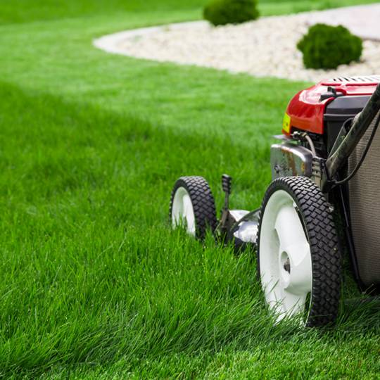 mowing-lawn